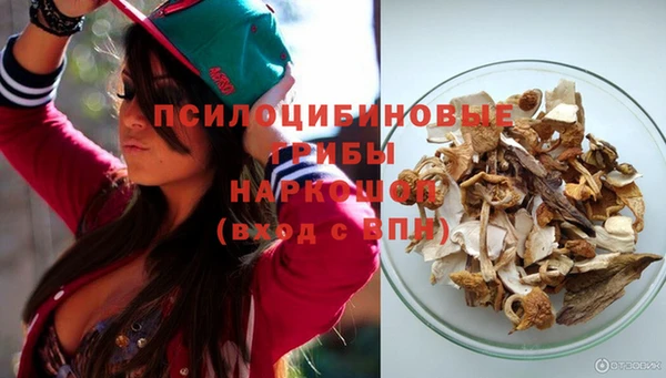 тгк Аркадак