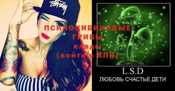 гидропоника Арсеньев